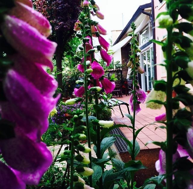 Bed And Breakfast Villa Franca Villafranca di Verona Εξωτερικό φωτογραφία